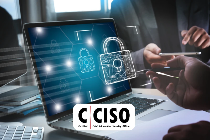 Hire Certified Chief Information Security Officer| Best CCISO experts