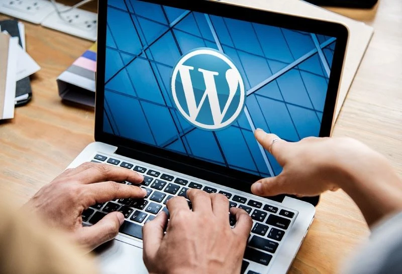 Hire Wordpress Developers in India| Dedicated Wordpress Developers